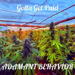 Gotta Get Paid - Single by Adamant Behavior album reviews, ratings, credits
