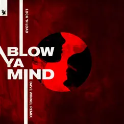 Blow Ya Mind (Dave Winnel Remix) Song Lyrics