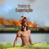 Produto de Exportação - Single album lyrics, reviews, download