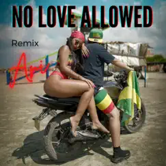 No Love Allowed (Remix) Song Lyrics