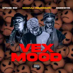 VEX MOOD (feat. Agbeshie & Kpese Boi) Song Lyrics