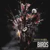 Birds (feat. J Spades, Mr. Hustle & Young Boss) - Single album lyrics, reviews, download