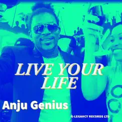 Live Your Life - Single by Anju Genius album reviews, ratings, credits