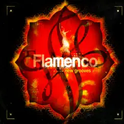 Flamenco New Grooves by Various Artists album reviews, ratings, credits