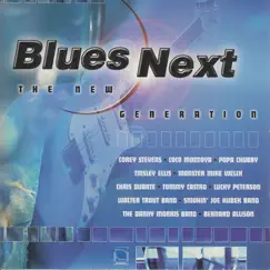 Blues Next: The New Generation by Various Artists album reviews, ratings, credits