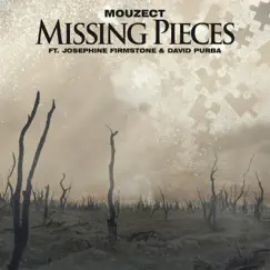 Missing Pieces (feat. Josephine Firmstone & David Purba) Song Lyrics