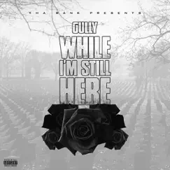 While I’m Still Here by Gully album reviews, ratings, credits