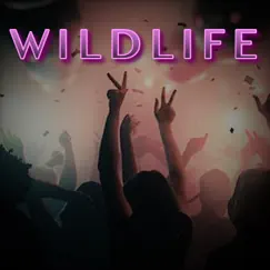 Wildlife - Single by Mike Dok album reviews, ratings, credits