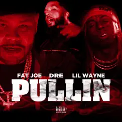 Pullin - Single by Fat Joe, Dre & Lil Wayne album reviews, ratings, credits