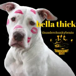 Hella Thick - Single by Thunderchunkybeats album reviews, ratings, credits