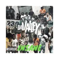 Insane (From da Valley) - Single by Vamp, Starter & Pacman album reviews, ratings, credits