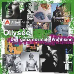 Der ganz normale Wahnsinn in 454 by Ollysee album reviews, ratings, credits
