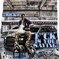 F**k Is You Saying - Single by Trick9 album reviews, ratings, credits