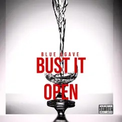 Bust It Open Song Lyrics