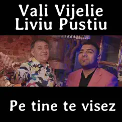 Pe Tine Te Visez - Single by Vali Vijelie & Liviu Pustiu album reviews, ratings, credits