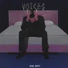 Voices (Ptsd) - Single album lyrics, reviews, download