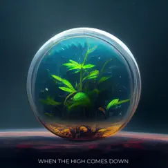 When the High Comes Down (feat. Michael Antoniou & Nash Nova) - Single by Abyss Bay album reviews, ratings, credits