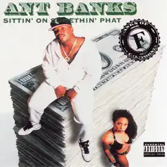 Sittin' On Somethin' Phat by Ant Banks album reviews, ratings, credits