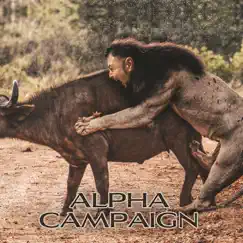 Alpha Campaign by Glock Dara album reviews, ratings, credits