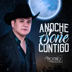 Anoche Soñé Contigo - Single by El Potro de Sinaloa album reviews, ratings, credits
