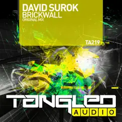 Brickwall - Single by David Surok album reviews, ratings, credits