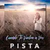 Cuando Te Vuelva a Ver (Pista) - Single album lyrics, reviews, download