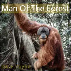Man of the Forest (Travel Songs) - Single by Dave Taylor album reviews, ratings, credits