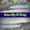 Run Up a Bag (feat. Prophet Fyb) - Single album lyrics, reviews, download