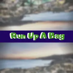 Run Up a Bag (feat. Prophet Fyb) Song Lyrics