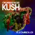 Kush (feat. 2 Chainz & Joi) - Single album cover
