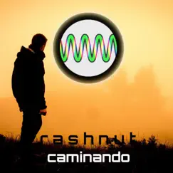 Caminando - Single by Rashnut album reviews, ratings, credits