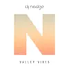 Valley Vibes - Single album lyrics, reviews, download