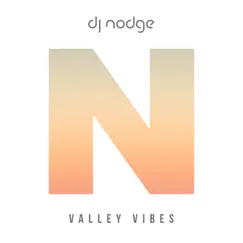 Valley Vibes - Single by DJ Nodge album reviews, ratings, credits