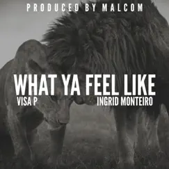 What Ya Feel Like (feat. Ingrid Monteiro) - Single by Visa P album reviews, ratings, credits