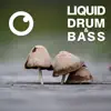Liquid Drum & Bass Sessions 2020 Vol 20 album lyrics, reviews, download