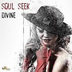 Divine - Single by Soul Seek album reviews, ratings, credits