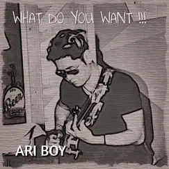 What Do You Want!!! - Single by Ari Boy album reviews, ratings, credits