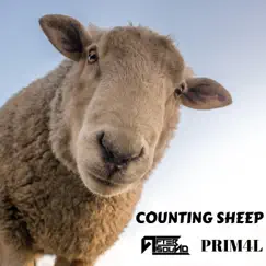 Counting Sheep Song Lyrics