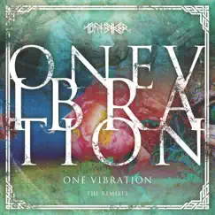 One Vibration (Country Boy Mix) Song Lyrics