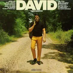 David by David Houston album reviews, ratings, credits