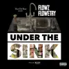 Under the Sink - Single album lyrics, reviews, download