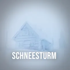 Schneesturm, Pt. 3 Song Lyrics