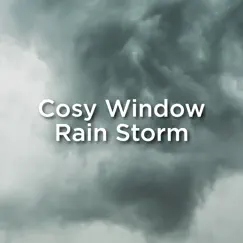 Cosy Indoor Storm Song Lyrics