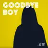 Goodbye Boy - Single album lyrics, reviews, download