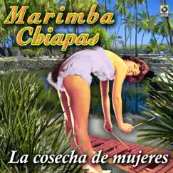 La Cosecha De Mujeres by Marimba Chiapas album reviews, ratings, credits
