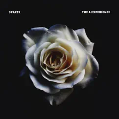Spaces by The a Experience album reviews, ratings, credits