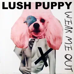 Wear Me Out - Single by Lush Puppy album reviews, ratings, credits