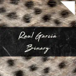 Binary - Single by Raul Garcia album reviews, ratings, credits