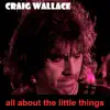 All About the Little Things - Single album lyrics, reviews, download