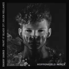 Paint It Black (Hoppenfield Remix) [feat. Julien Kelland] Song Lyrics